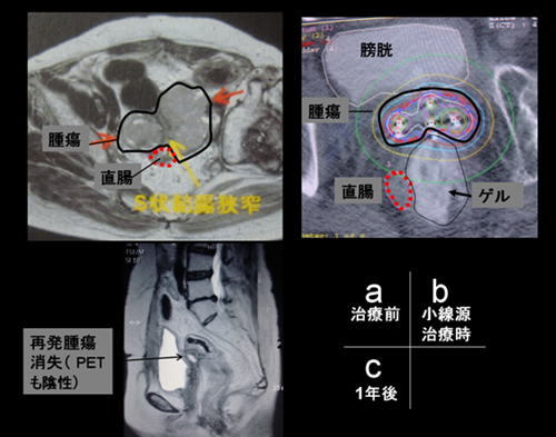 20100929_01.jpg